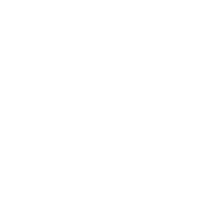 Pricing Icon