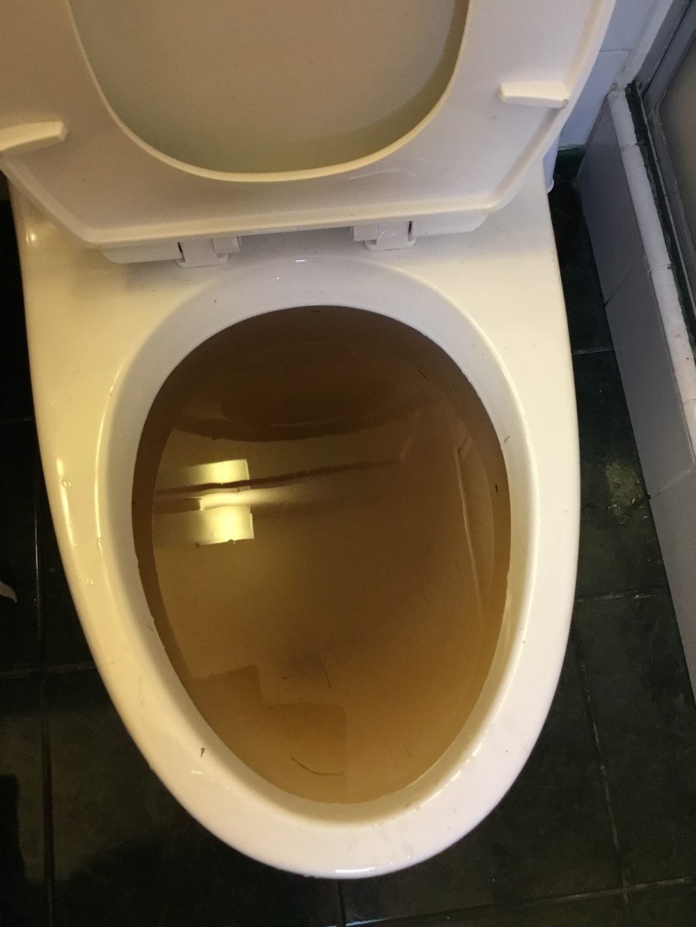 Clogged Toilet in Tracy, CA