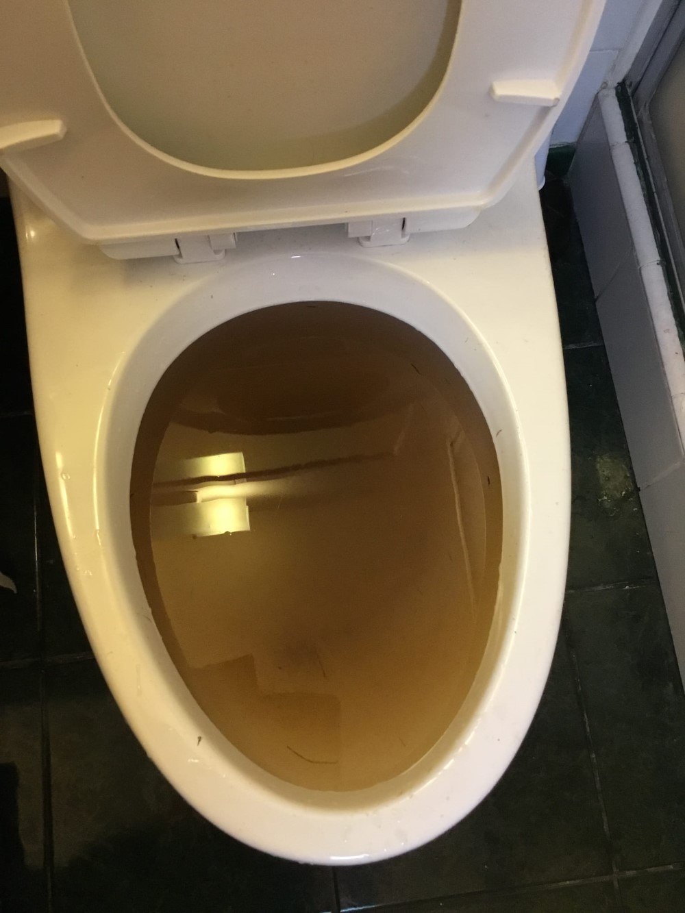 Clogged Toilet Service